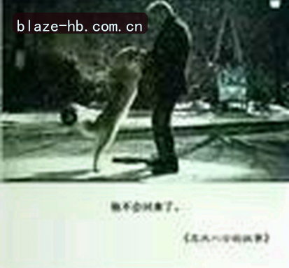 陈浩